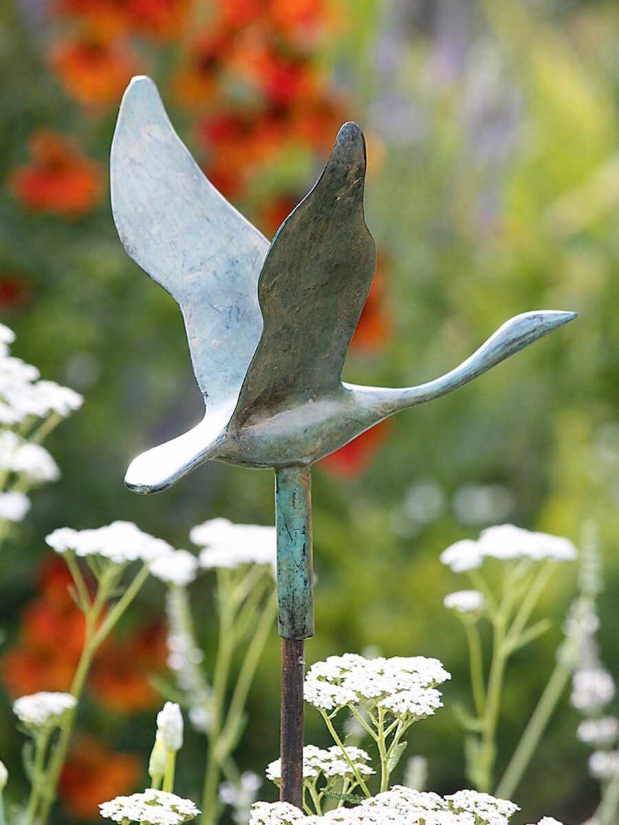 saatgut fettwiese regionales Wildpflanzen Saatgut für den Garten (10qm) 🌼 – keep it grün