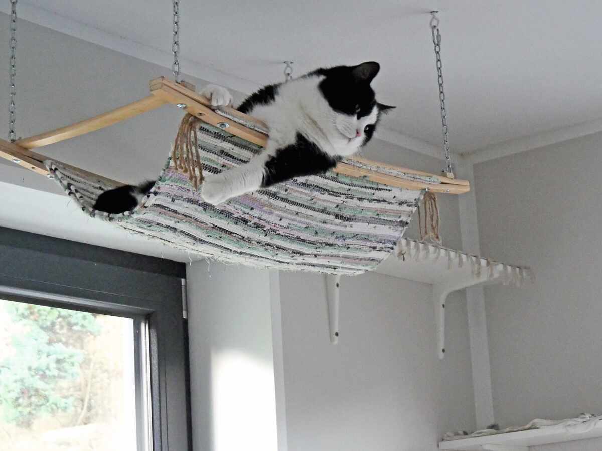 Katzenhngematte selber bauen: So gelingt Ihr DIY-Projekt