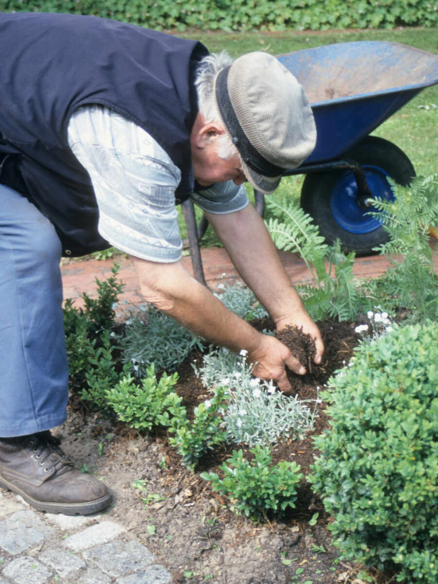 Biologisch dngen im Garten: Die besten natrlichen Dnger fr gesunde  Pflanzen
