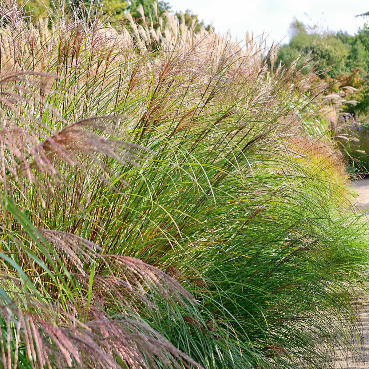 Wie Sie Wrmepumpen in den Garten einbinden