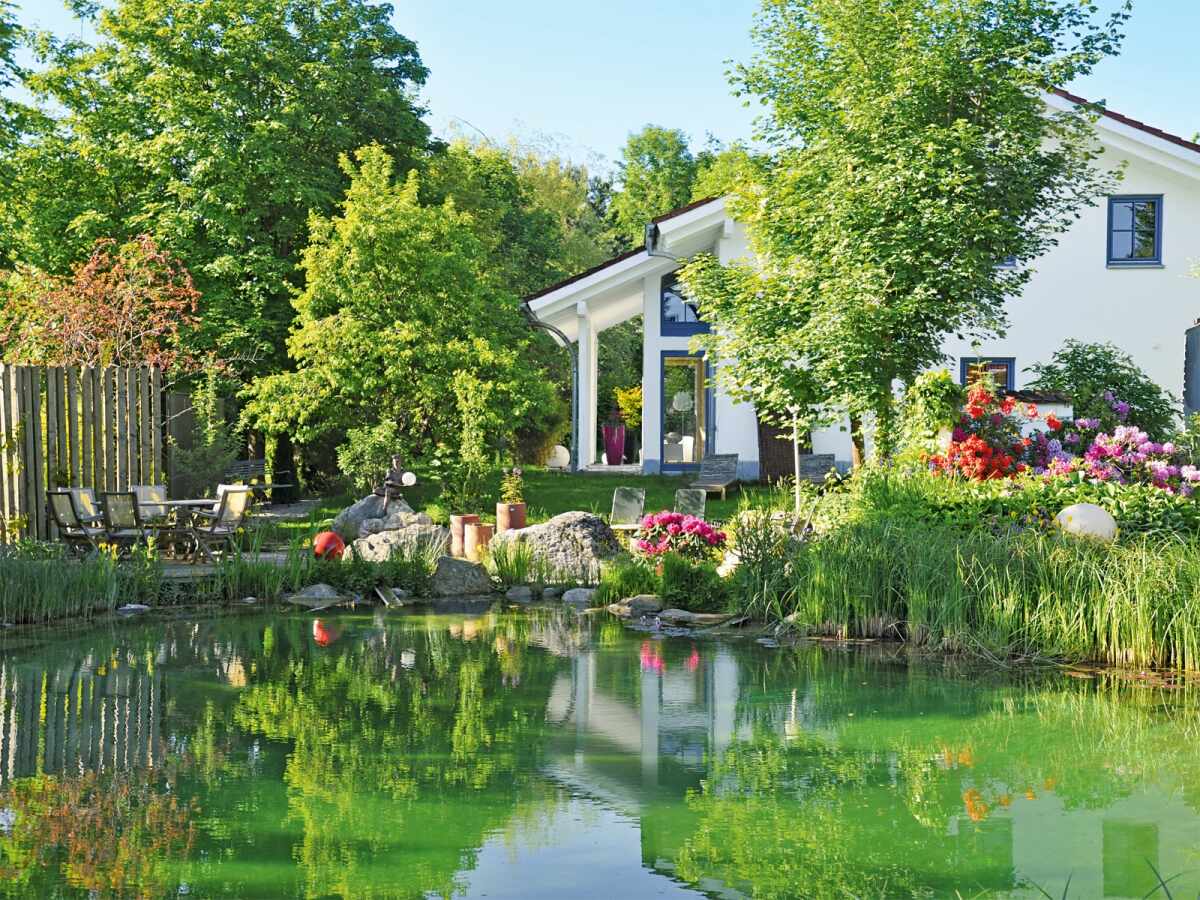 Ab in den Teich! Schritt für Schritt zum TraumGartenteich