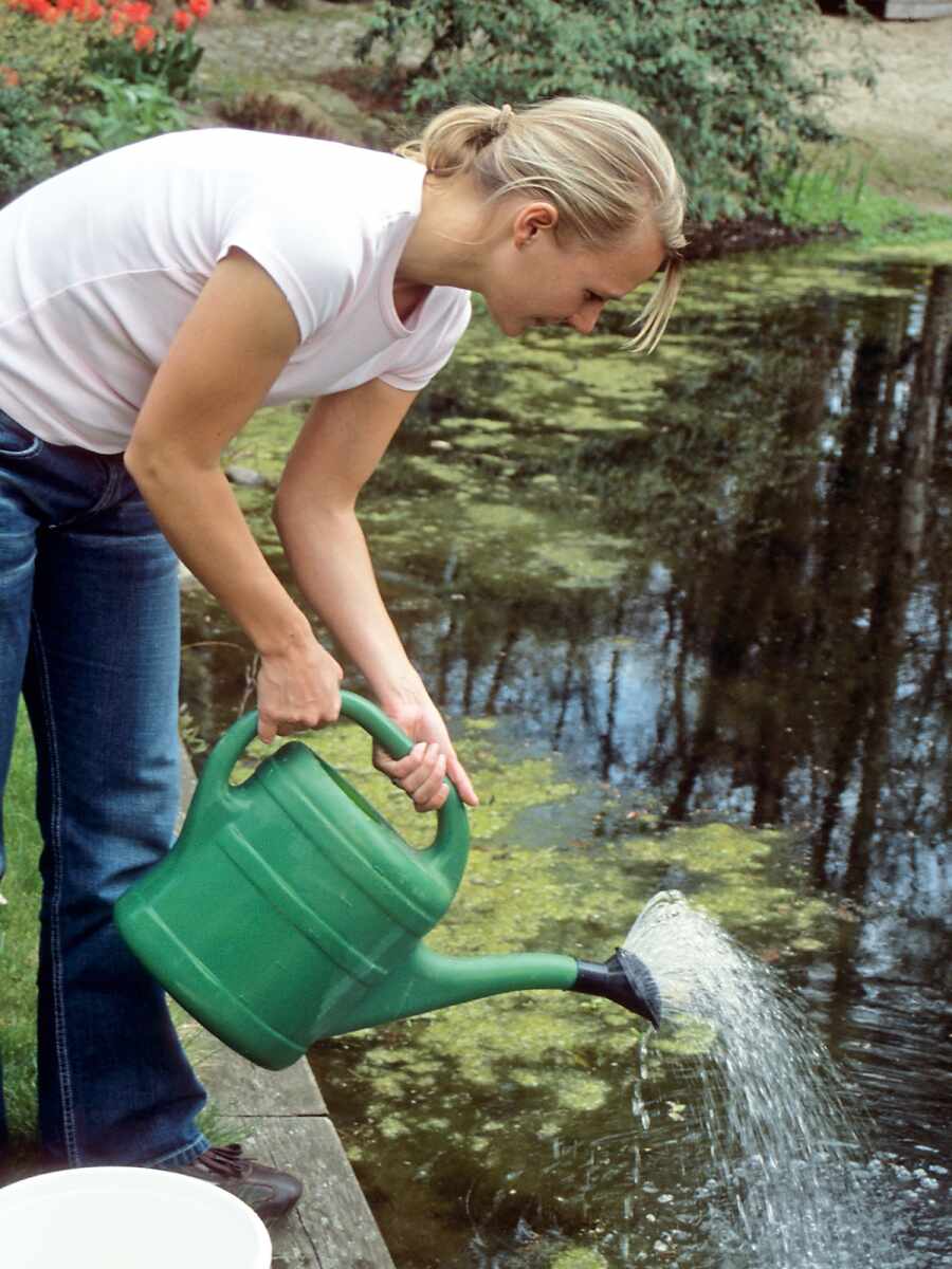 Frühjahrsputz im Gartenteich