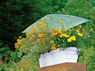 Regenschutz für Balkonkästen von Beckmann