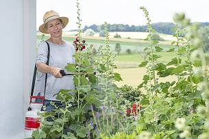 Für den Hausgartenbereich sind kleine Handsprüher und Druckspeicher-Sprühgeräte bis 5 Liter ausreichend.