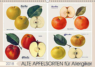 Lucy M. Laube / Alte Apfelsorten für Allergiker 2018 In DIN A5 (Tisch), DIN A4, DIN A3 und DIN A2 (alle Wand), ab 18,90 Euro; www.calvendo.de