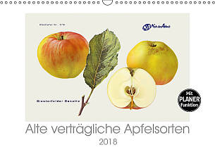 Lucy M. Laube / Alte verträgliche Apfelsorten 2018 Mit Planerfunktion, in DIN A4, DIN A3 und DIN A2 (alle Wand), ab 19,90 Euro; www.calvendo.de