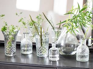 Auch Vasen, Schüsseln, Becher, Teller plus einiger schöner Grünpflanzen sind perfekt für den skandinavischen Style.