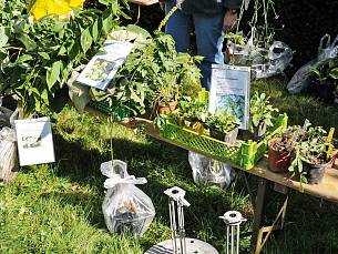 Für jeden Gartenliebhaber sollte es selbstverständlich sein, nur gesundes, sauberes und gut bewurzeltes Pflanzenmaterial in Pflanzentauschbörsen weiterzugeben.