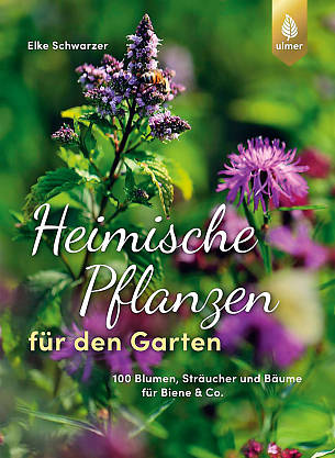 Buch-Tipp: Heimische Pflanzen für den Garten