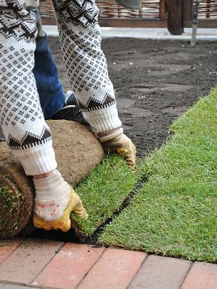 Mit Rollrasen wird der Garten rasch grün. Legen Sie die Rasenbahnen ohne Fuge dicht an dicht.