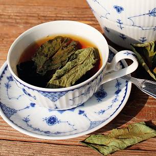 Süß werden die Blätter der Tee-Hortensie erst, wenn sie nach Teetradition fermentiert werden.