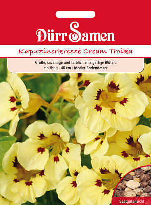 Bild 4: Die Blüten der creme-gelben Kapuzinerkresse 'Cream Troika' sind essbar und geben eine tolle Blütendekoration in Salaten.