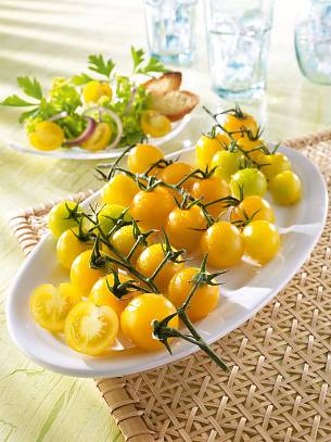 Die Früchte der gelben Cherrytomate 'Summer Sun' schmecken besonders süß.