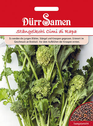 Der Stängelkohl 'Cimi die rapa' ähnelt Broccoli.
