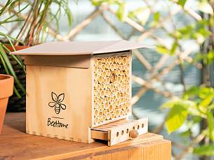 Zimmer frei: Im „BeeHome Observer“ sind Wildbienen herzlich willkommen.