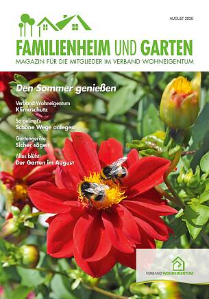 Titelbild der Ausgabe August 2020