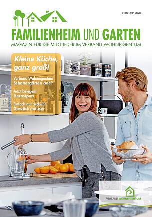 Titelbild der Ausgabe Oktober 2020