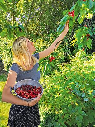 Ein herrliches Naschvergnügen: Schön, wenn man genug Platz hat für Obstbäume und Beeren.