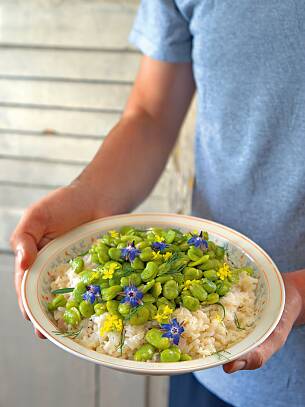 Risotto mit dicken Bohnen