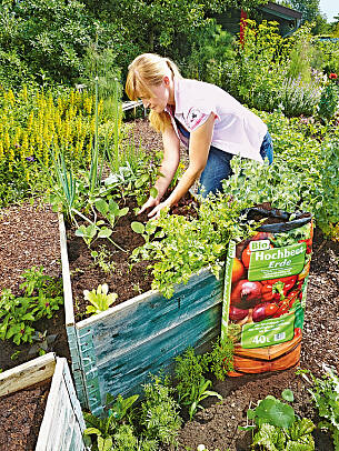 Im Gartenfachhandel erhalten Sie spezielle Substrate (z. B. Bio-Hochbeeterde von Floragard).