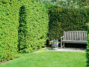 Kunstliche Hecke 2m Hoch