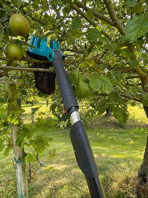 Praxistest Obstpflücker