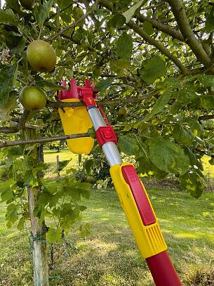 Praxistest Obstpflücker