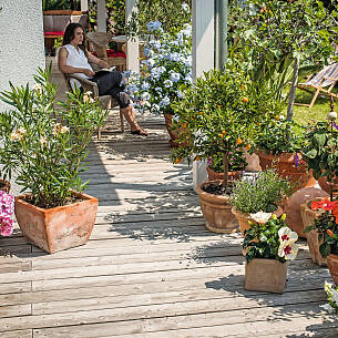 Mit Kübelpflanzen wie Oleander, Hibiskus, Zitrusbäumchen und Lavendel zaubern Sie mediterranes Flair auf die Terrasse.