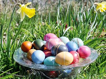 Ostereier im Garten suchen – ein Vergnügen für Jung und Alt.