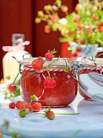 Walderdbeer-Rhabarber-Kompott : Erdbeeren als Dessert sind ein Genuss, wie zum Beispiel als Kompott mit Rhabarber.
