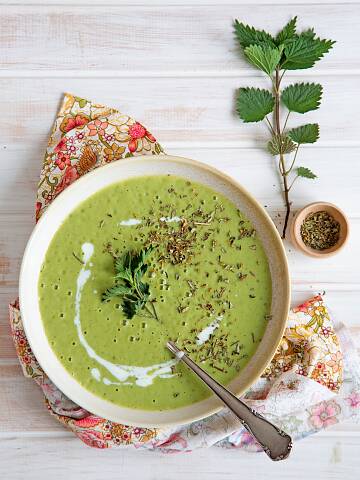 Unser Brennnessel-Schaumsüppchen erinnert im Geschmack an Spinat. Probieren Sie es aus!