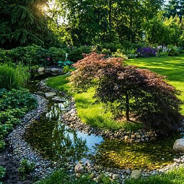 Ein geschwungener flacher Bachlauf.