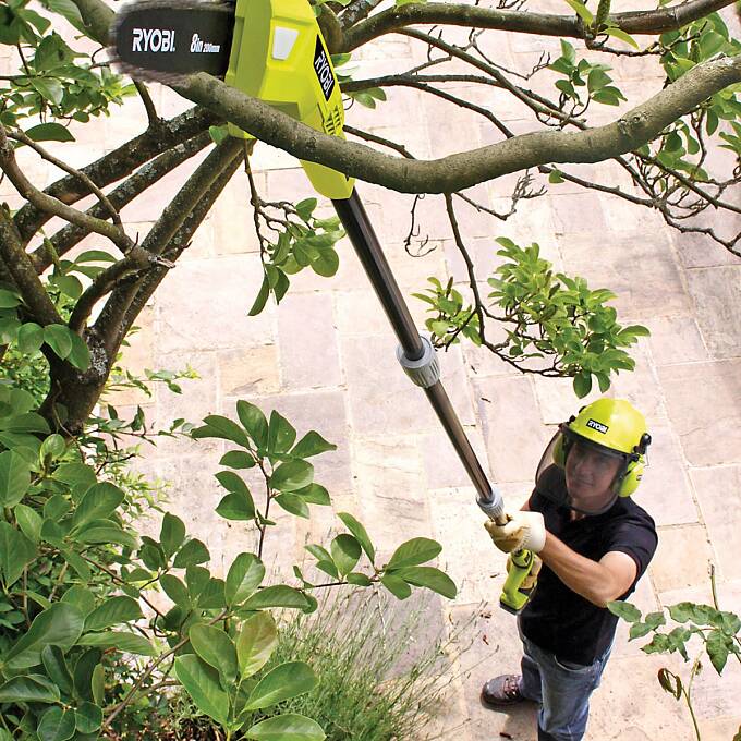 Akku-Hoch-Entaster RPP-1820LI von Ryobi