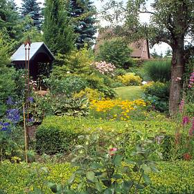 Rosen, Stauden, Buchshecken und Rasenwege – eine solche Kombination spiegelt den Charme englischer Gartengestaltung wider.