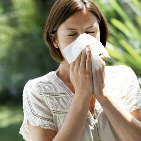 Für Allergiker beginnt eine anstrengende Zeit.