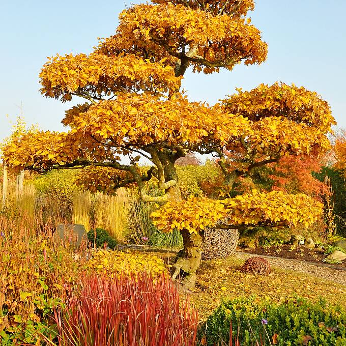 Der Herbst von seiner farbenfrohen Seite
