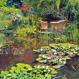 Wer im Sommer einen Teich mit klarem Wasser genießen möchte, sollte im Frühjahr die ersten Pflegeschritte unternehmen.