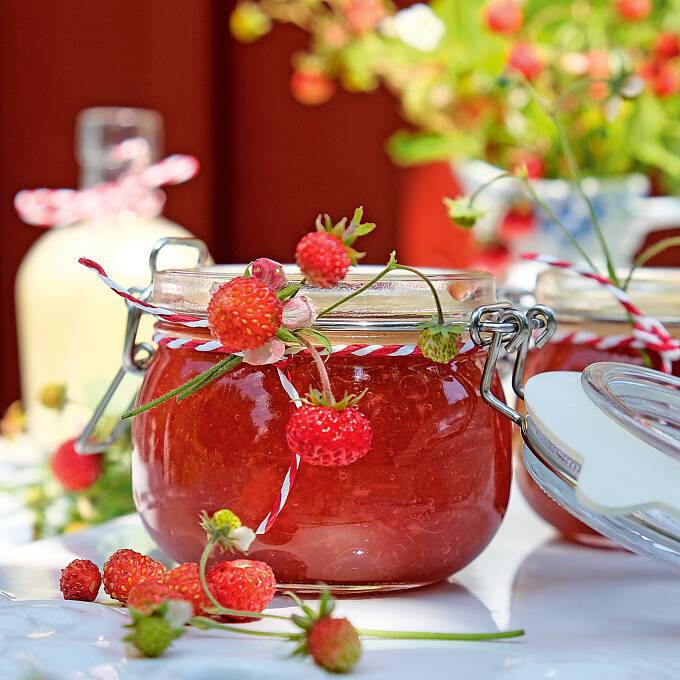 Walderdbeer-Rhabarber-Kompott : Erdbeeren als Dessert sind ein Genuss, wie zum Beispiel als Kompott mit Rhabarber.