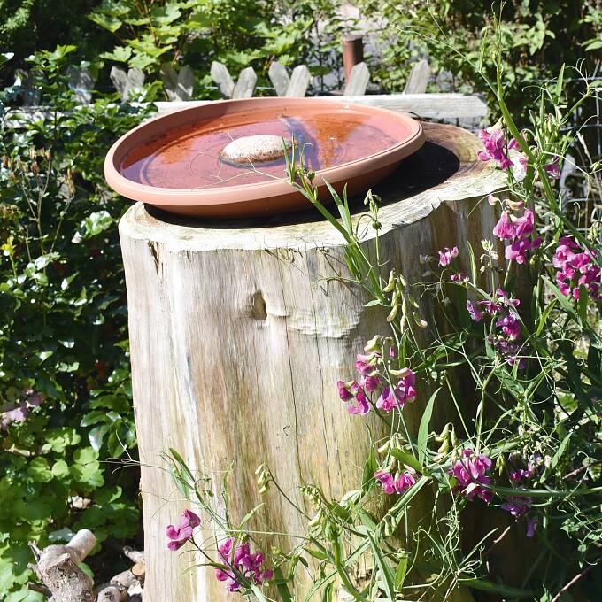 Eine einfache Wassertränke ist die perfekte Erfrischung für unsere Gartenvögel und Insekten.