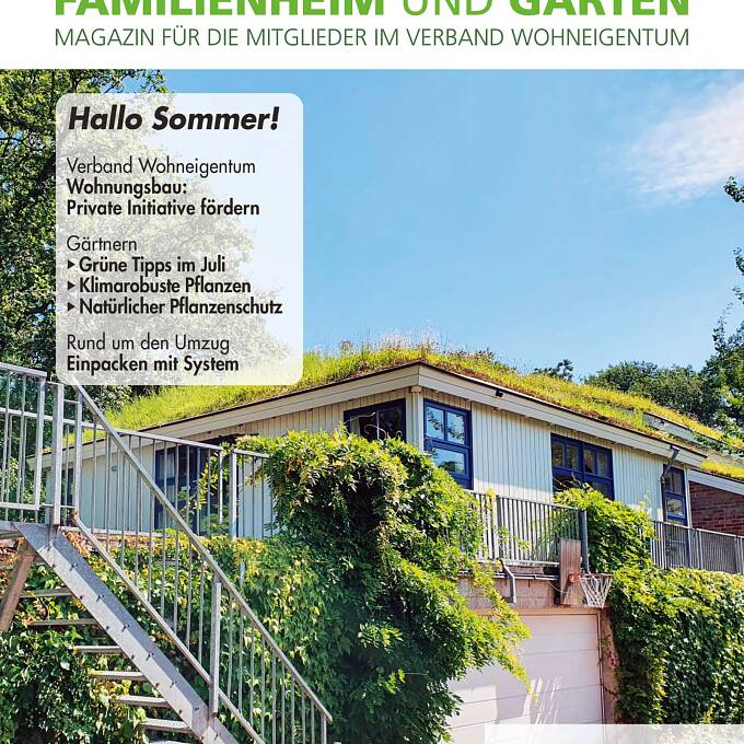Titelbild der Ausgabe Juli 2025