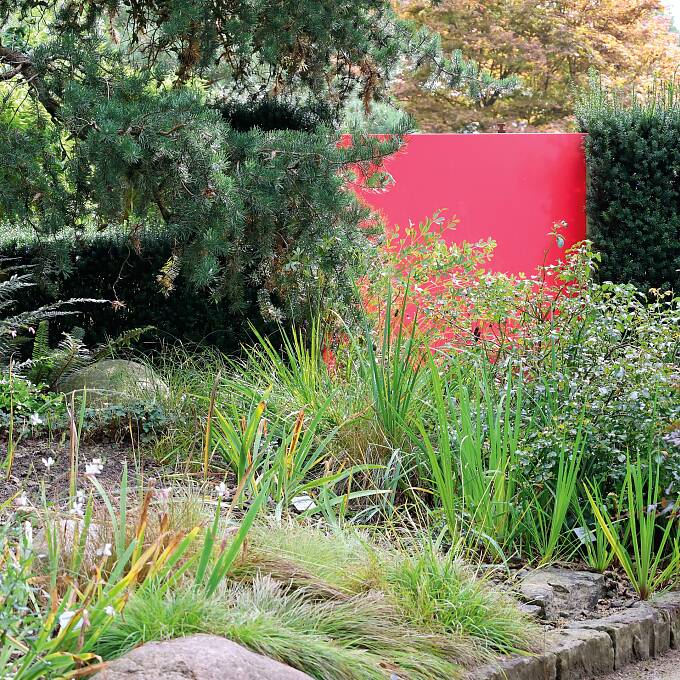 Hier sorgt ein Sichtschutzelement aus farbigem Acrylglas für ein optisches Highlight in einer Eibenhecke.