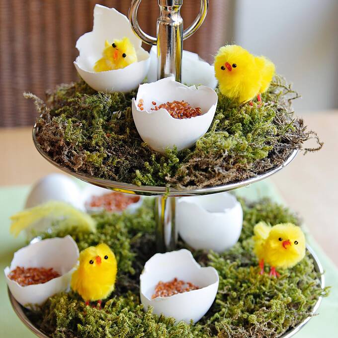 Hübscher Blickfang: die schön arrangierte Frühlings-Etagere mit Moos und Kresse-Eiern