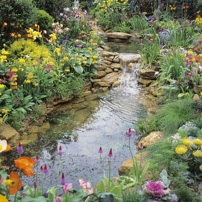 Der Blick in einen Wassergarten ist entspannend.