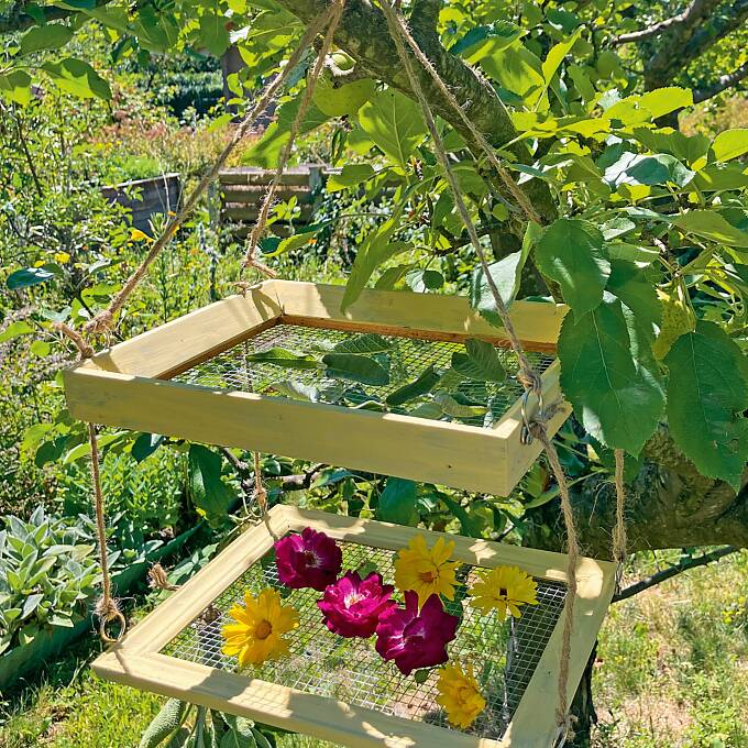Erst einmal trocknen. Danach füllt man die Ernteschätze in luftdichte, geschlossene Behälter.